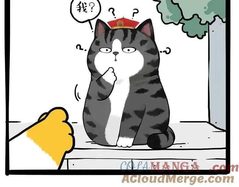 第442话 逆风的挑战22