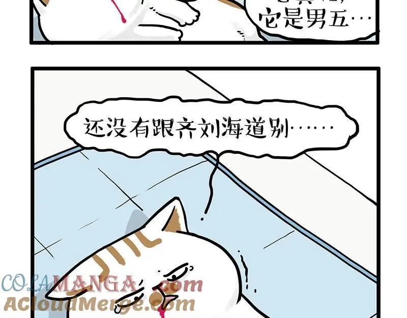第441话 不要出卖老大！12