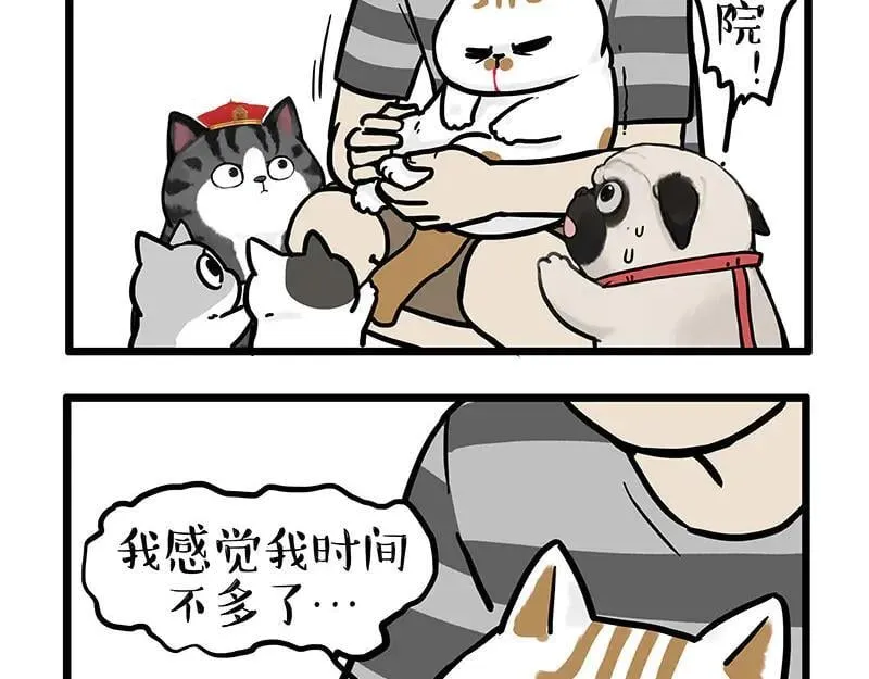 第440话 不要开这种玩笑3