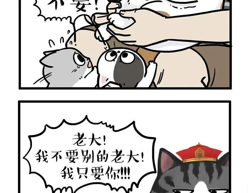 第440话 不要开这种玩笑11