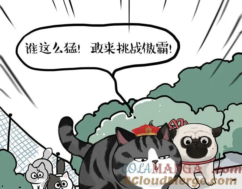 第442话 逆风的挑战12