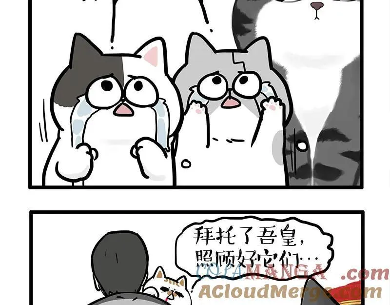 第440话 不要开这种玩笑12