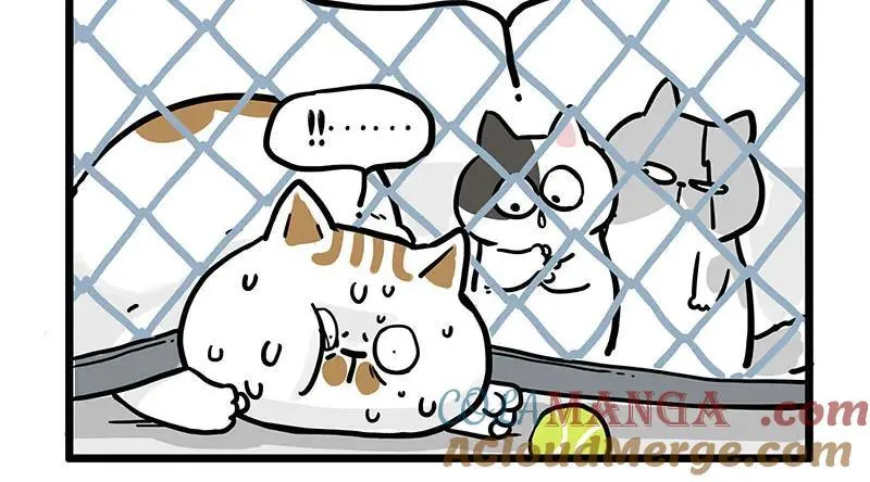 第439话 老大倒下了！16
