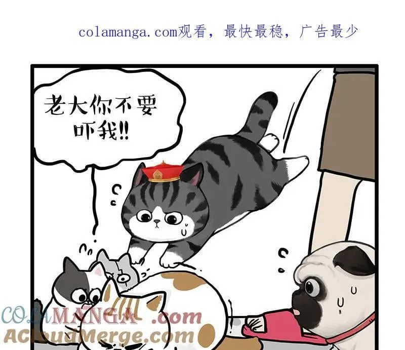 第440话 不要开这种玩笑0