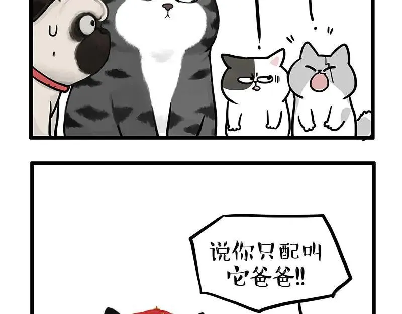 第441话 不要出卖老大！19