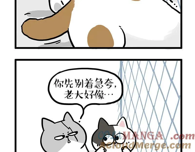 第439话 老大倒下了！8