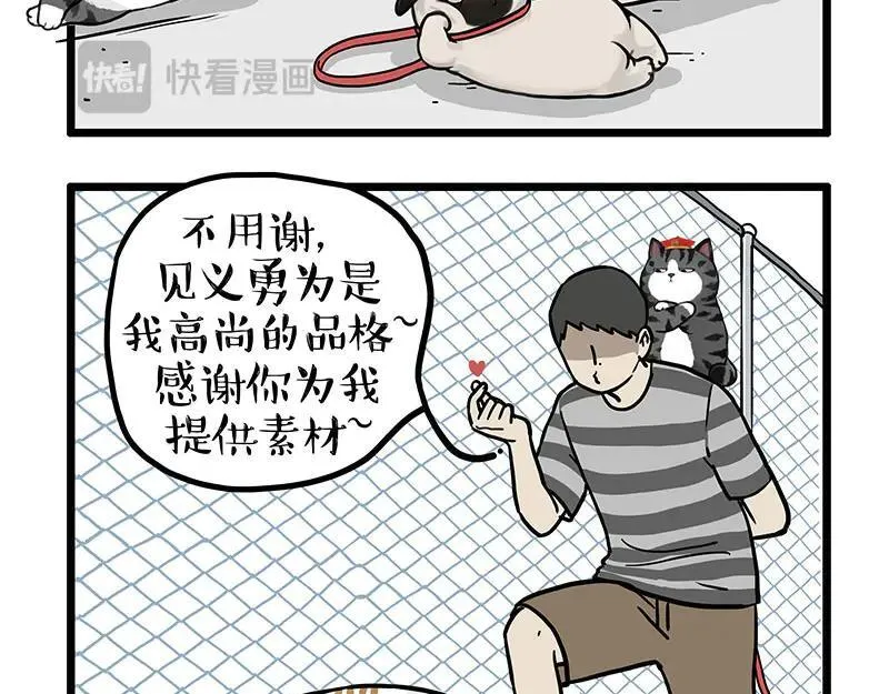 第439话 老大倒下了！23