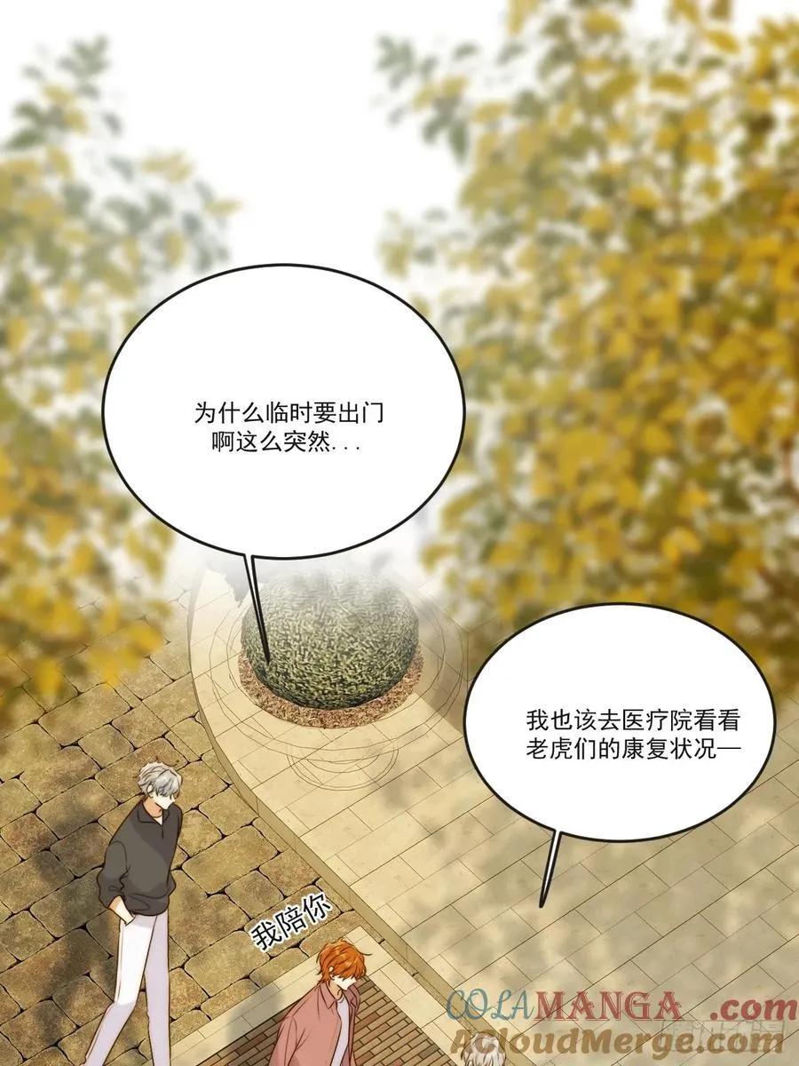 缠绕的白色绷带234