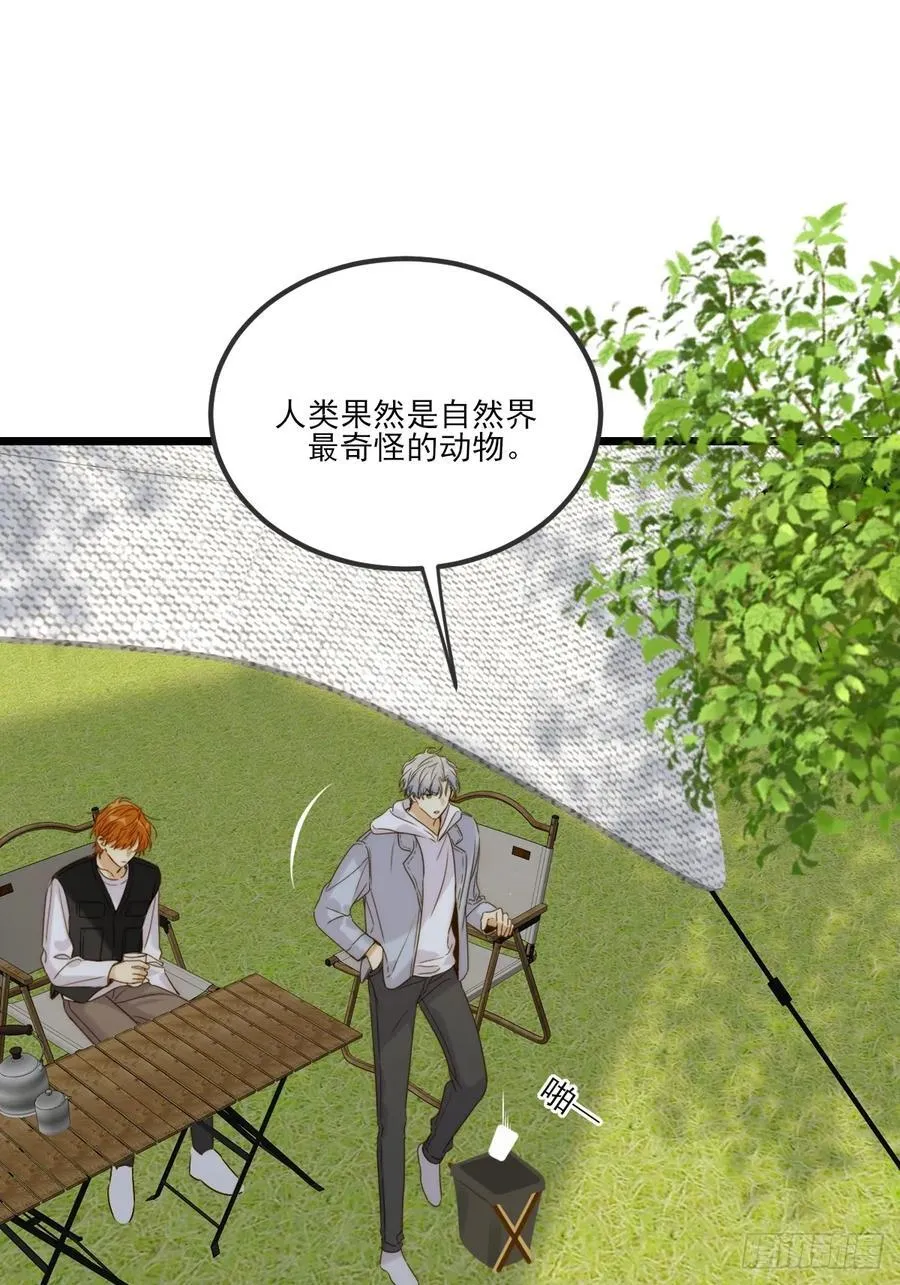 露营第一天10