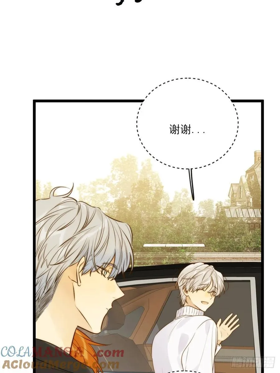 缠绕的白色绷带242