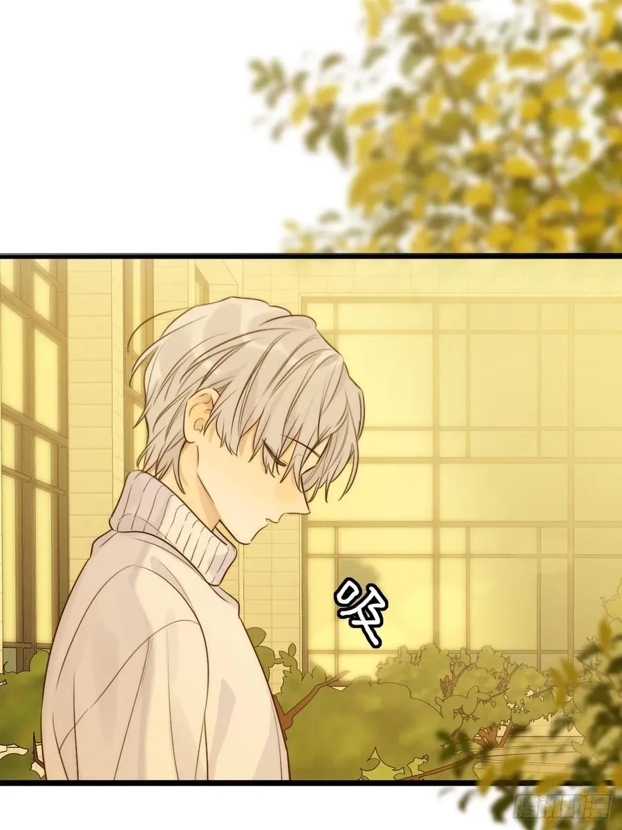 缠绕的白色绷带223