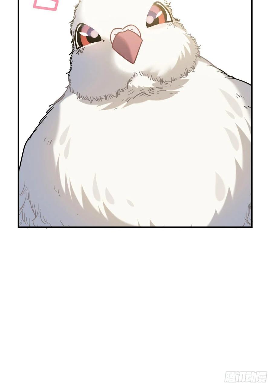 53.鸽子和往事12