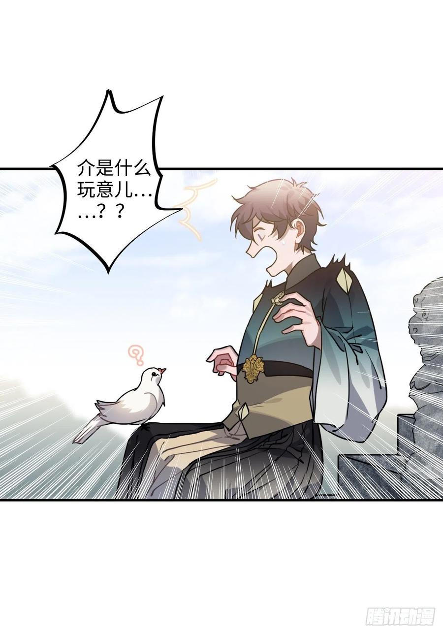 53.鸽子和往事13