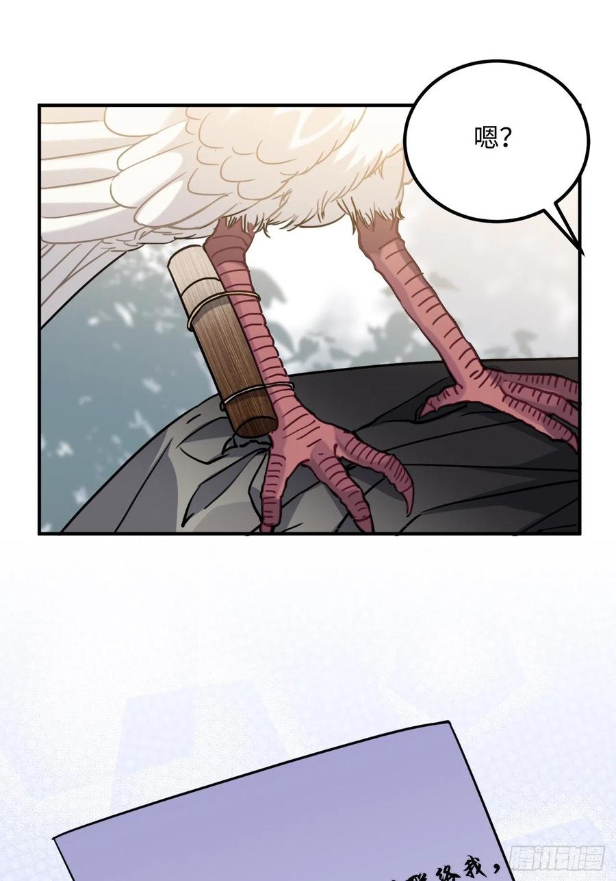 53.鸽子和往事14