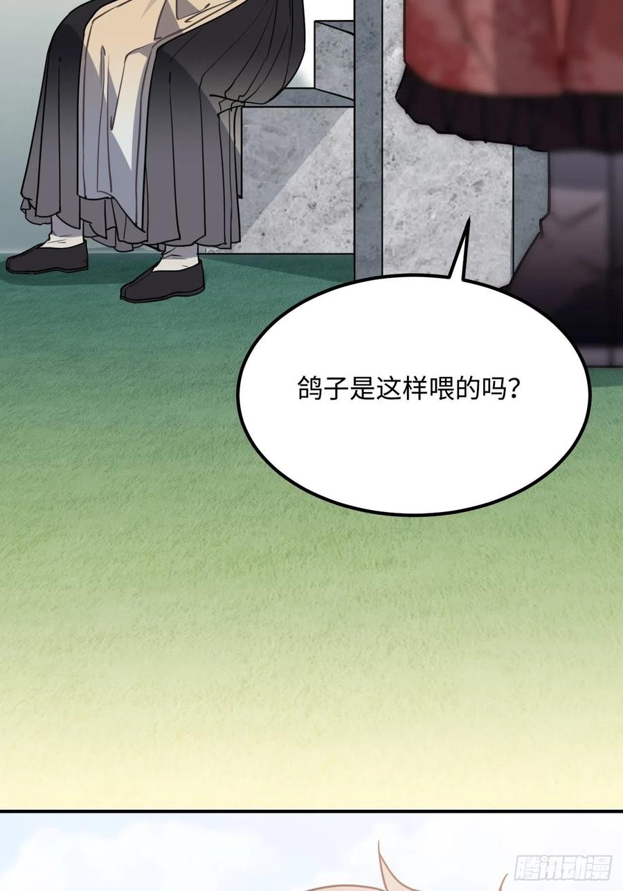 53.鸽子和往事20
