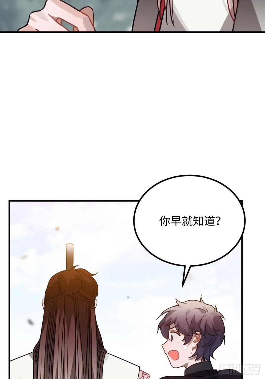53.鸽子和往事31