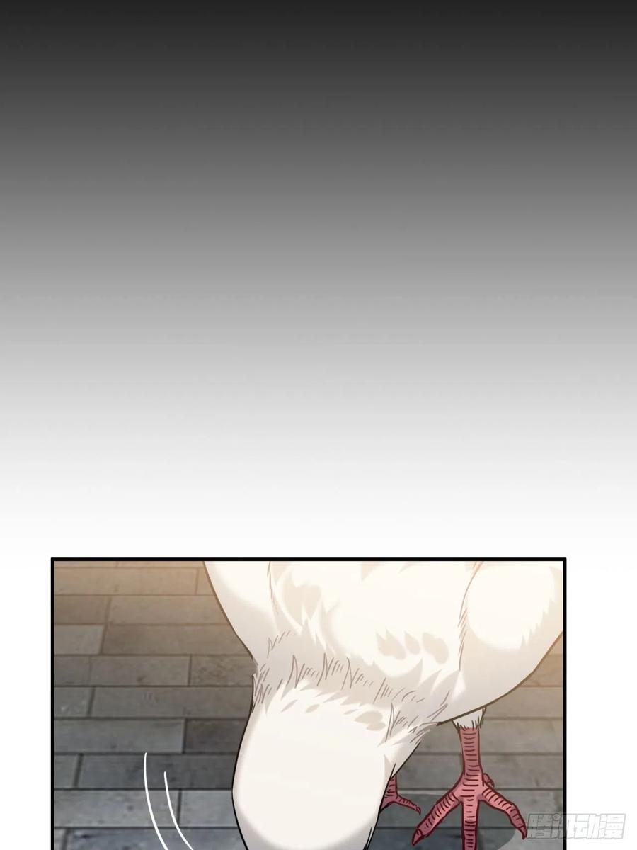 53.鸽子和往事47