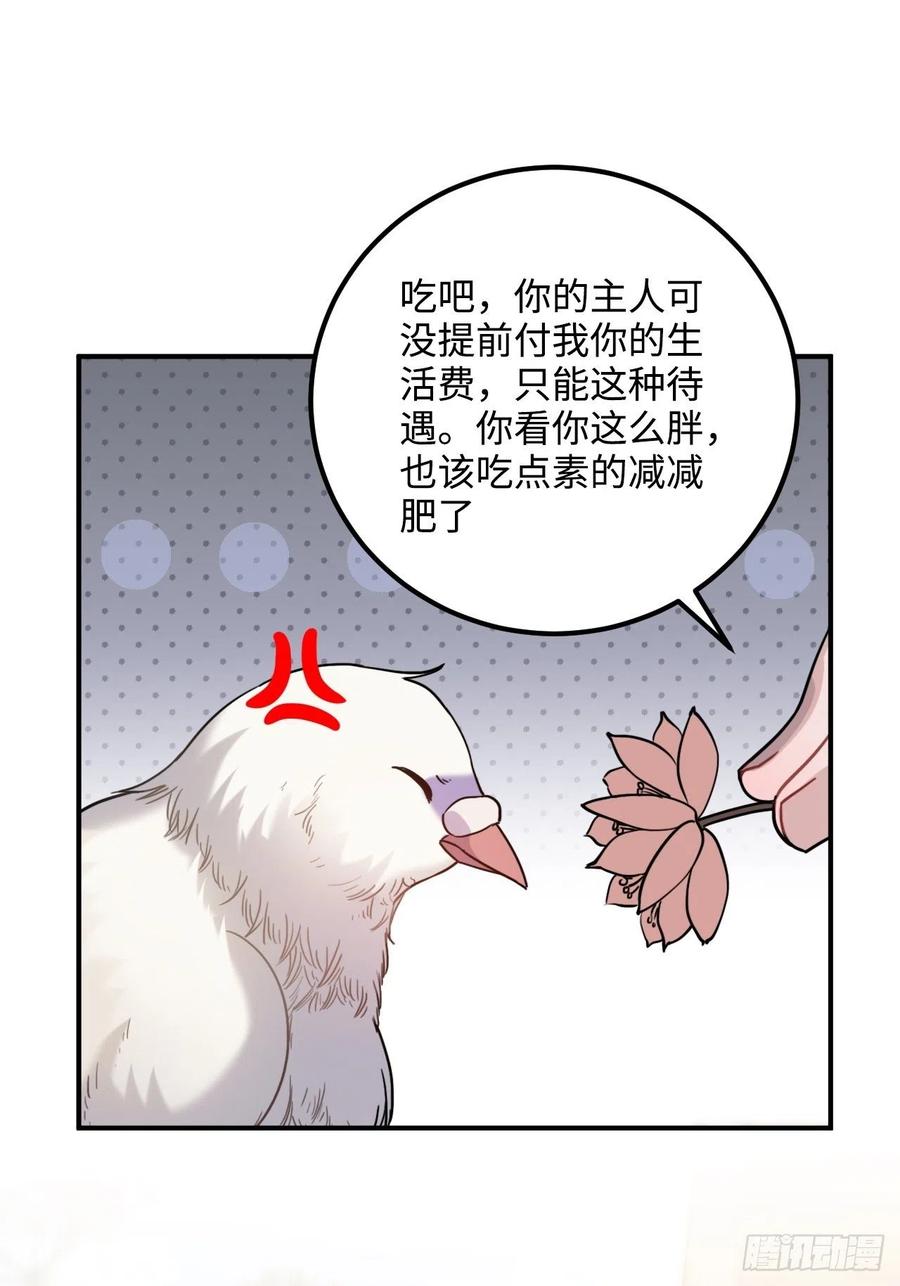 53.鸽子和往事18