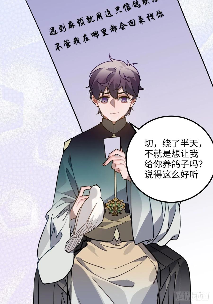 53.鸽子和往事15