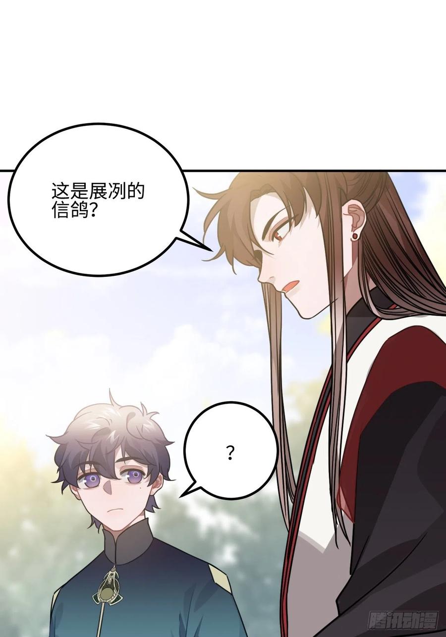 53.鸽子和往事28