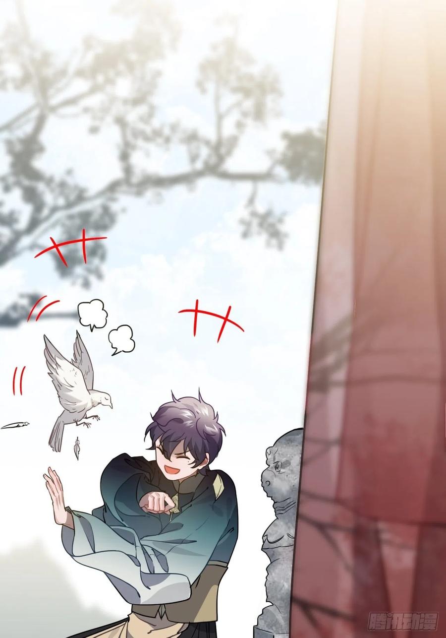 53.鸽子和往事19