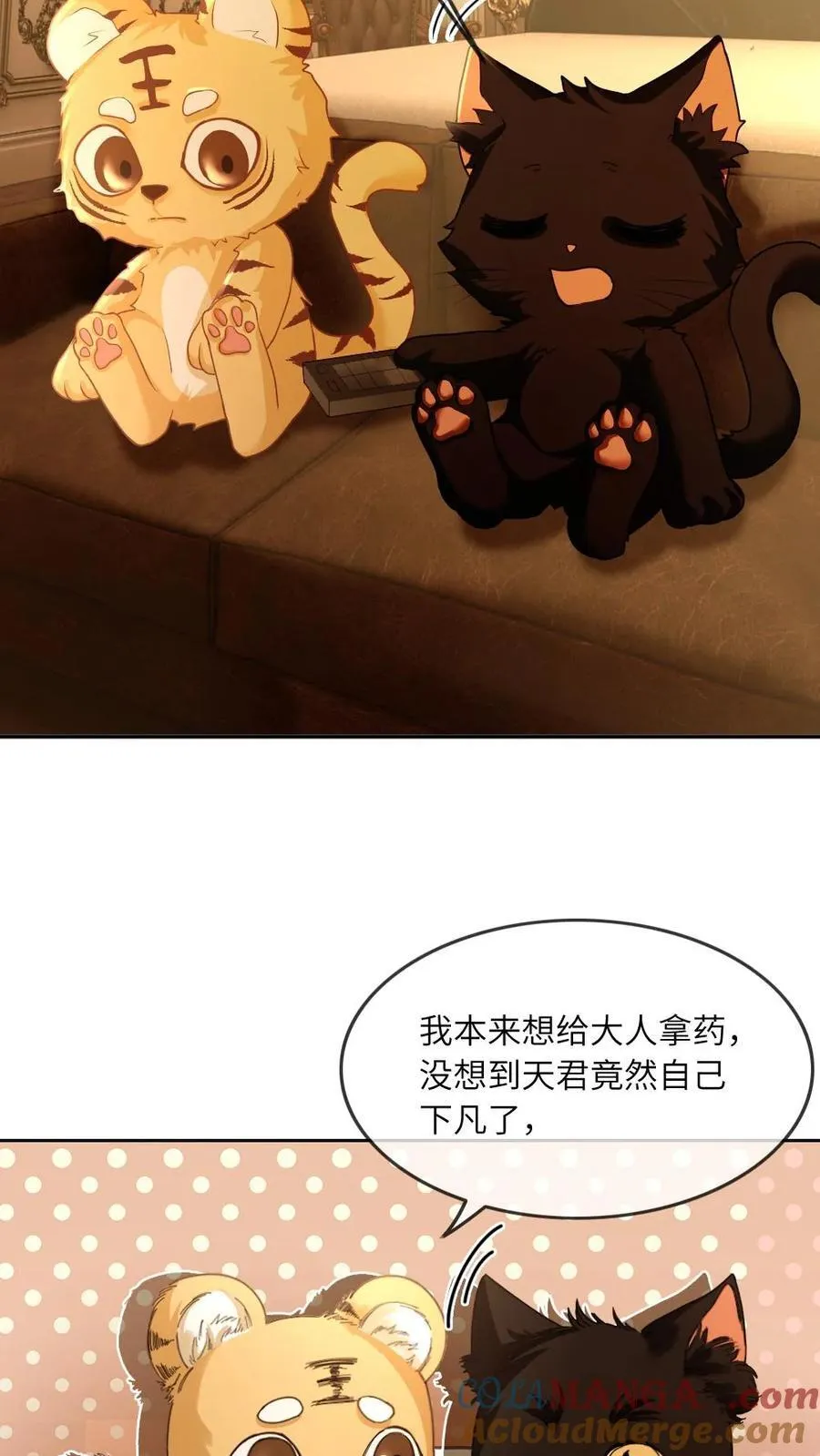 第329话 兄控登场22