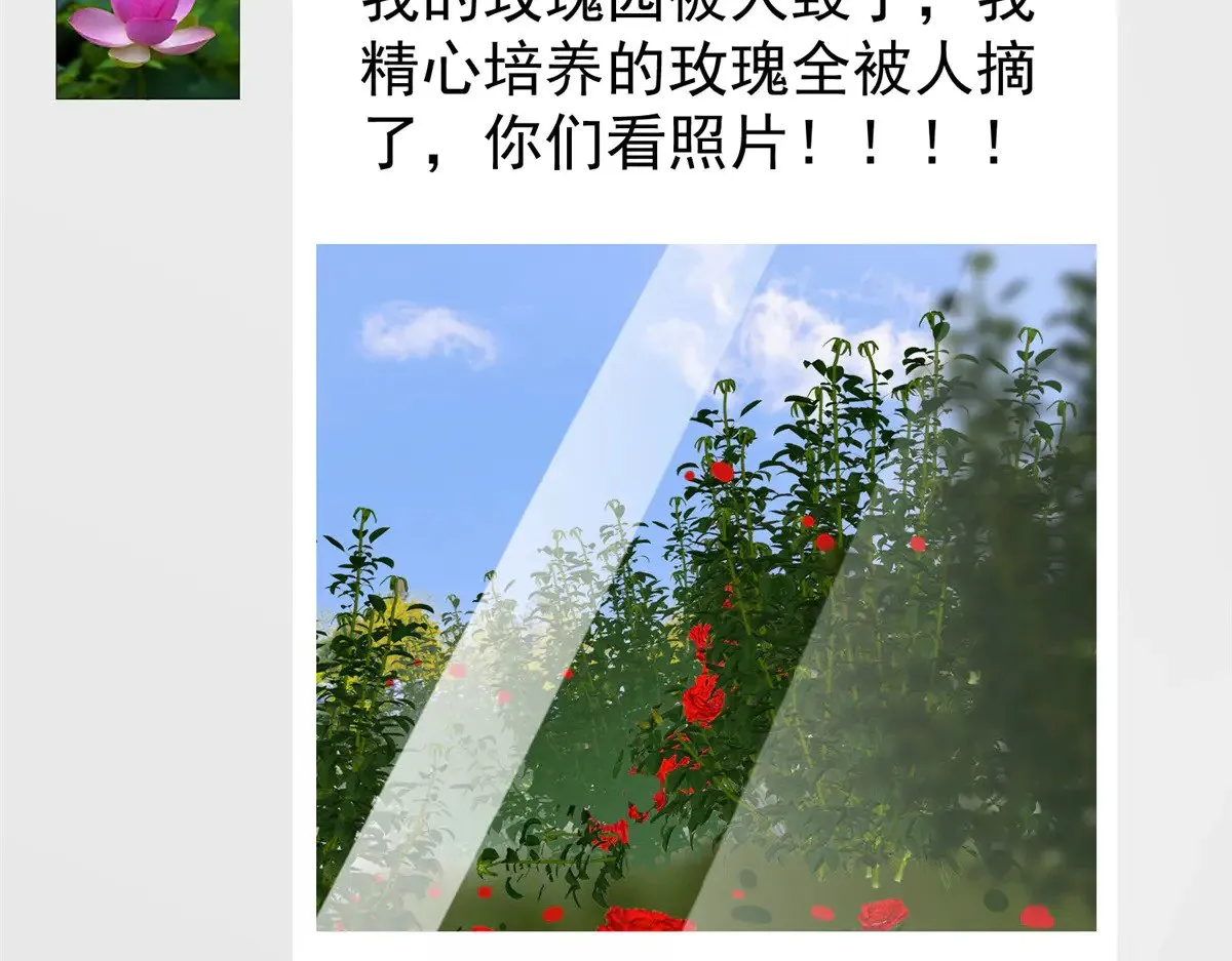 209 感谢婚配所69