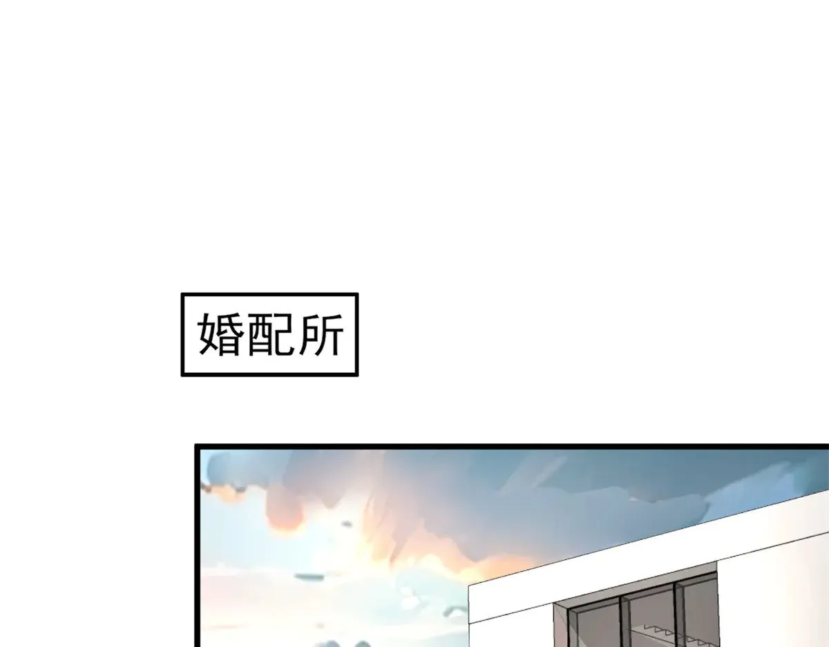 208 婚前协议？46