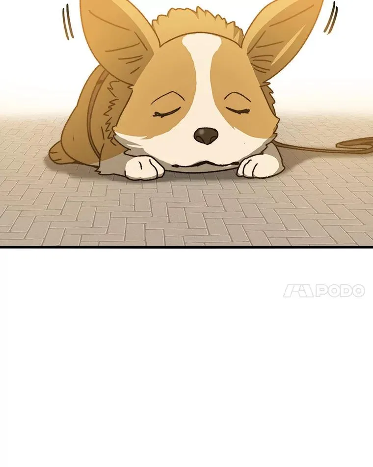 13.轻放敌意51