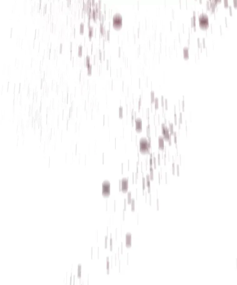 65.究极生命137