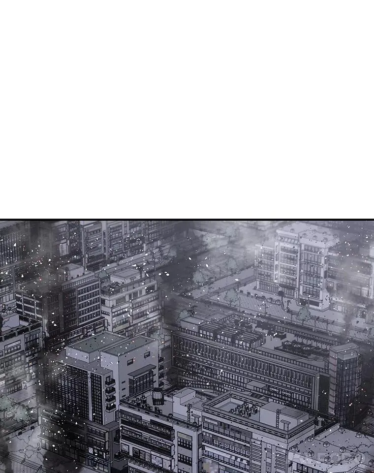 48.直击心脏21