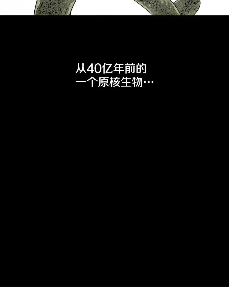 54.究极轮回49