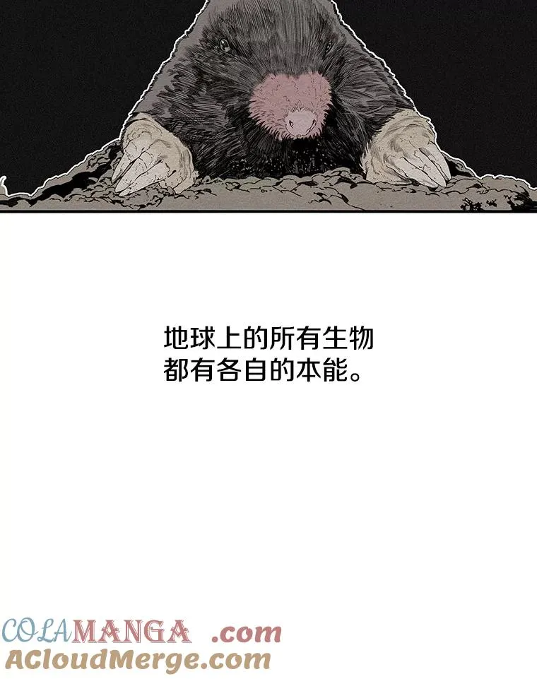 14.神的本能32