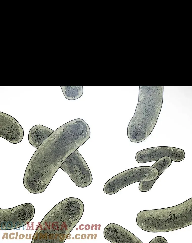54.究极轮回48