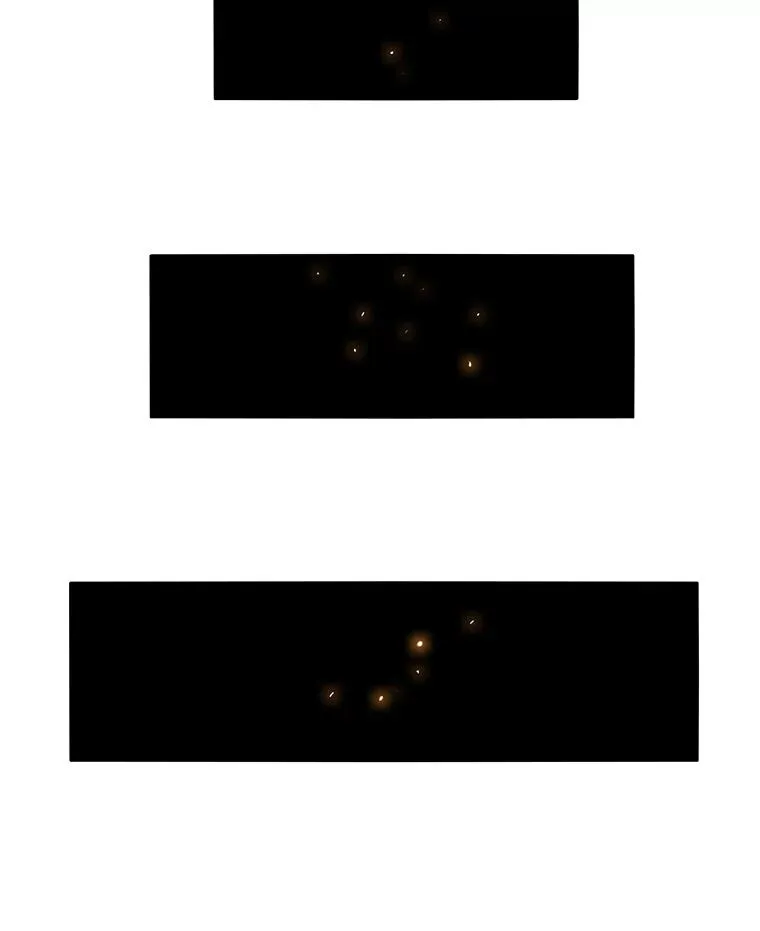 39.同体异心115