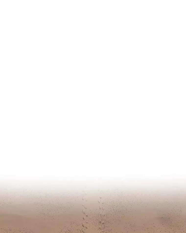 20.传播灭绝26