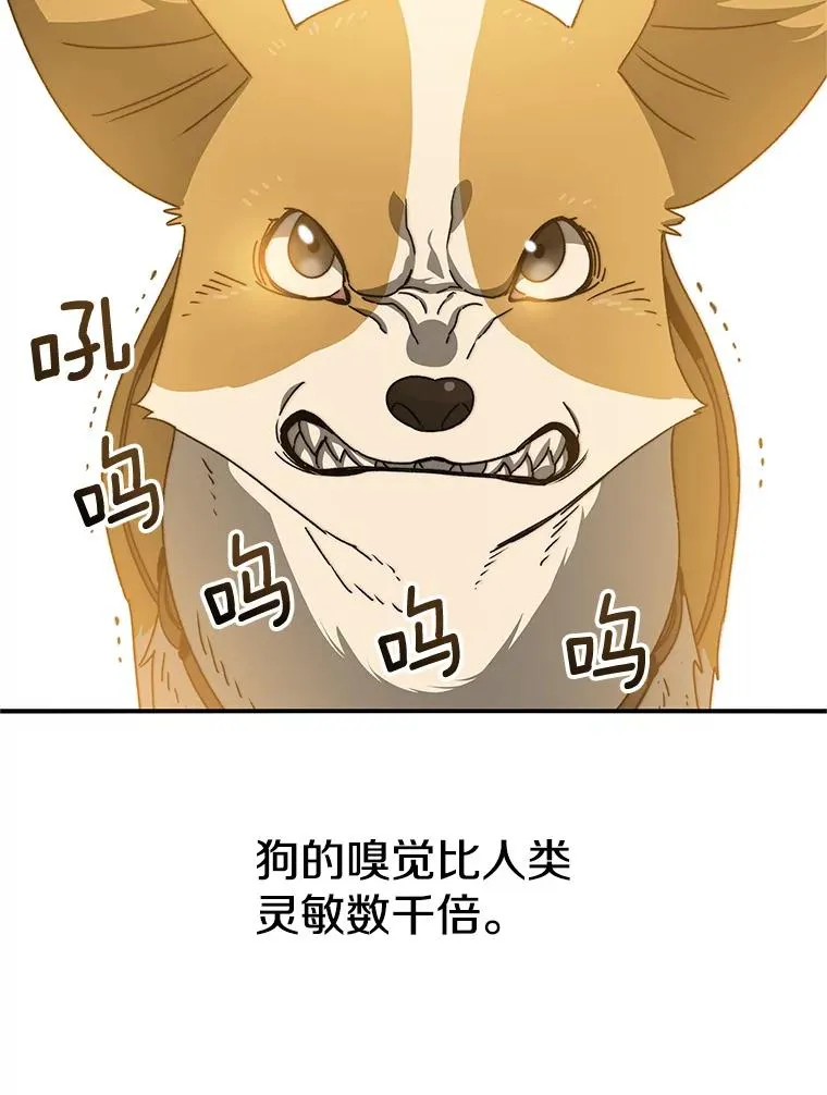 13.轻放敌意115