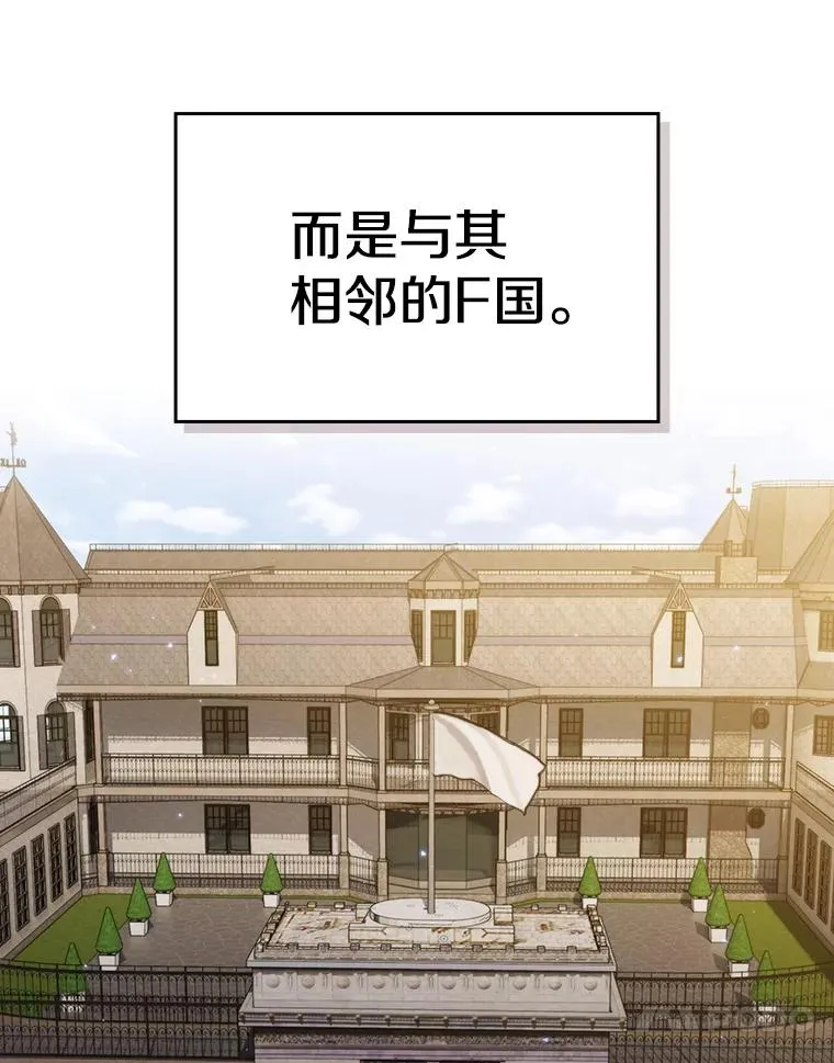 117.F国危机27