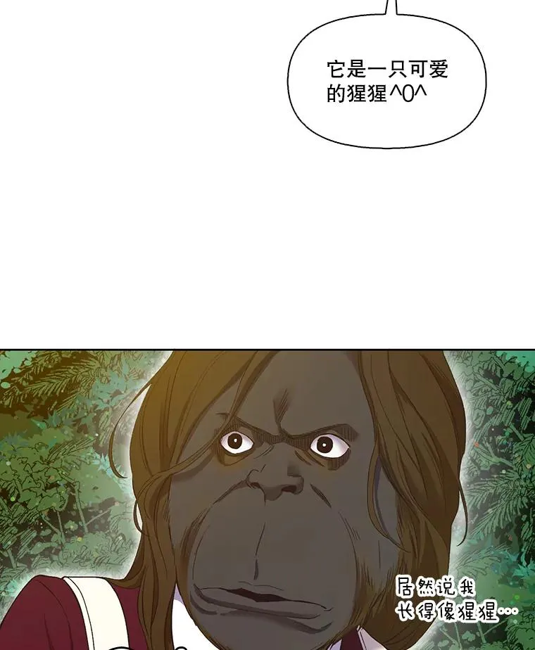21.乐队演出26
