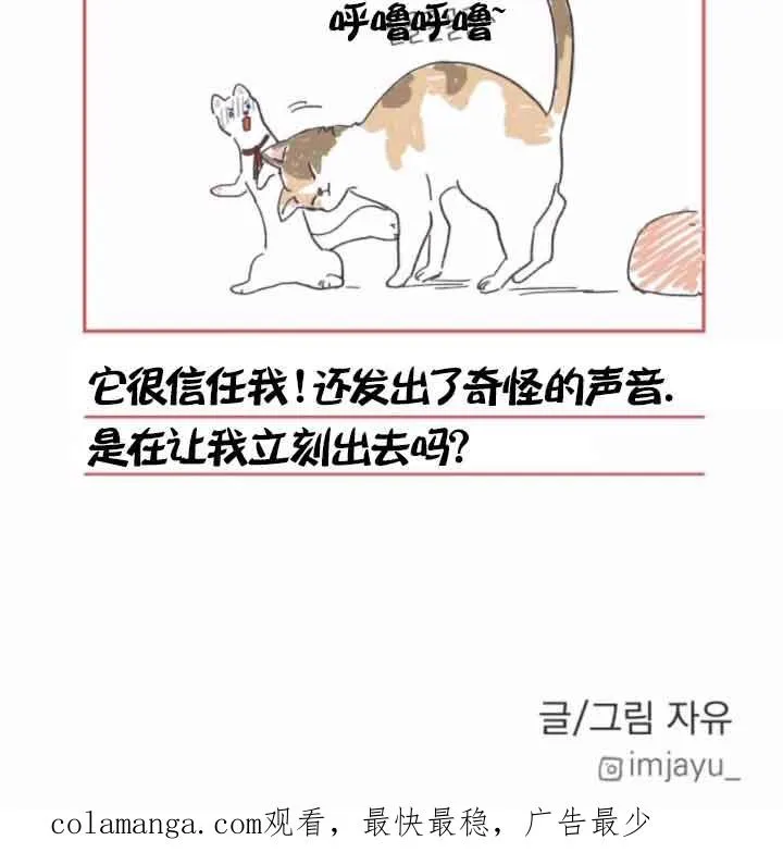 第44话99