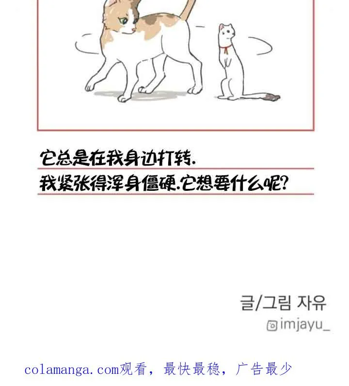 第49话79