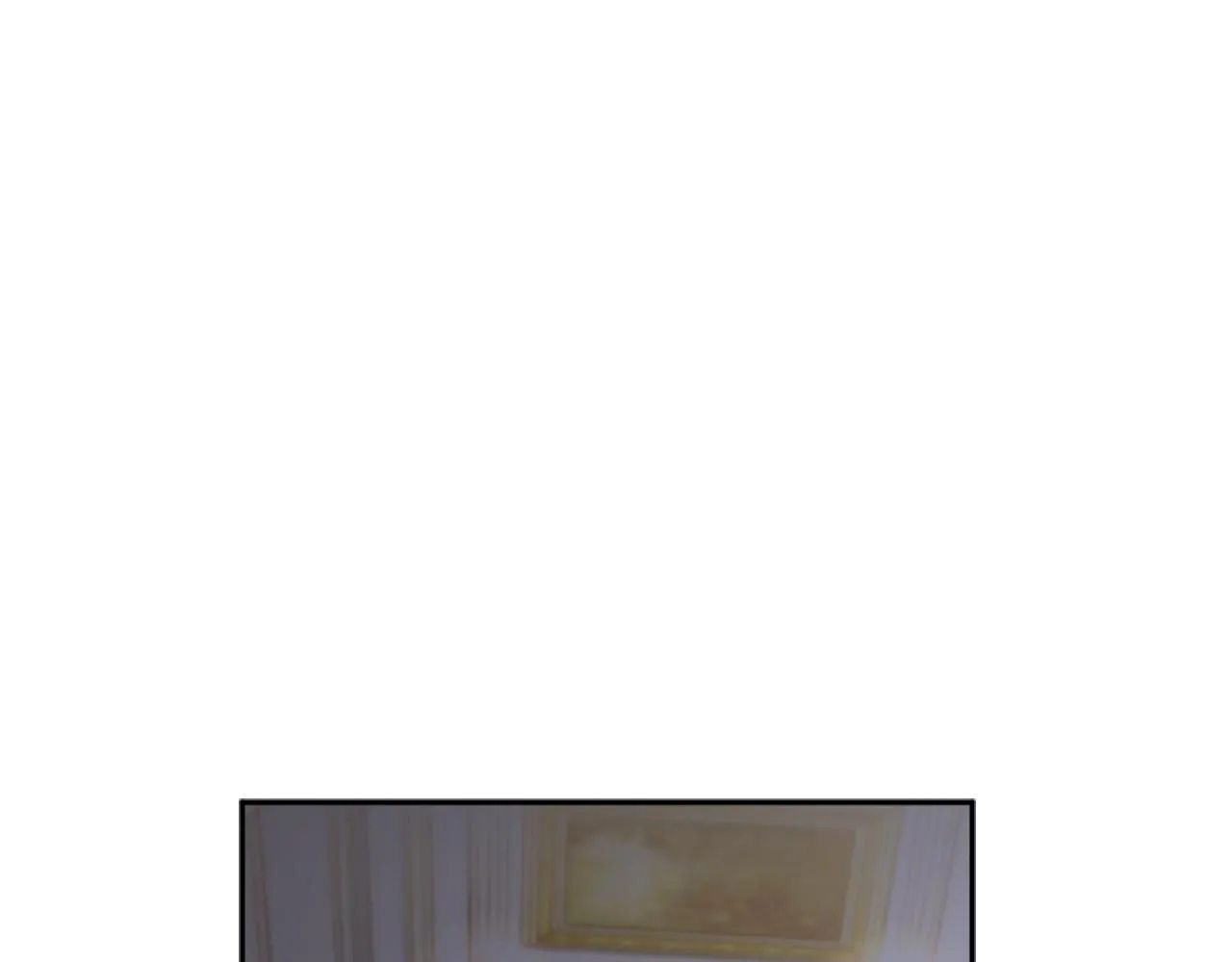 第45话 公爵变小偷？91
