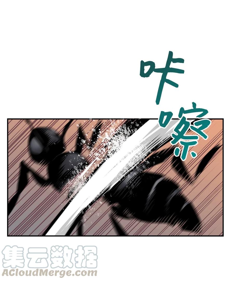 11 隐藏副本51