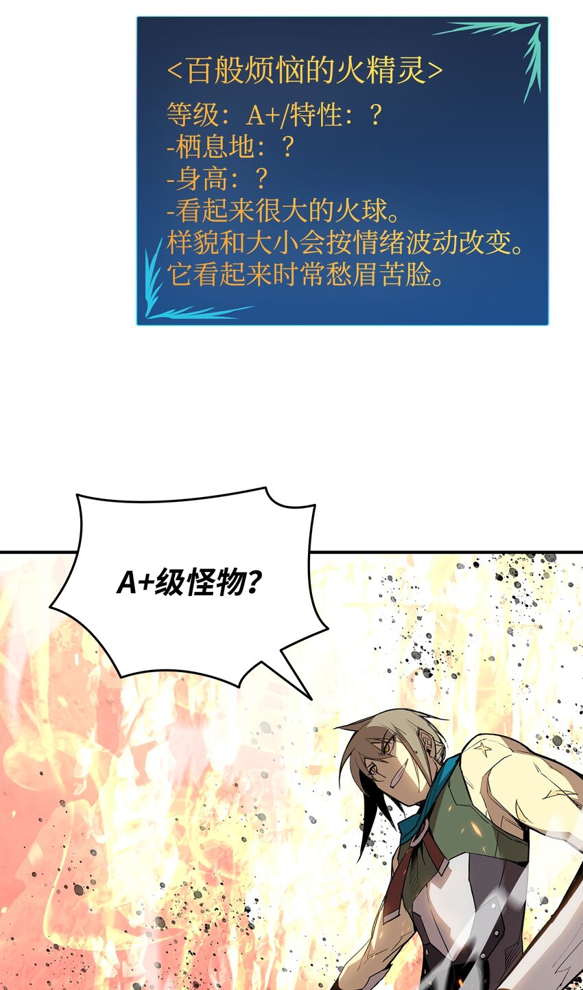 96 管理者火精灵52