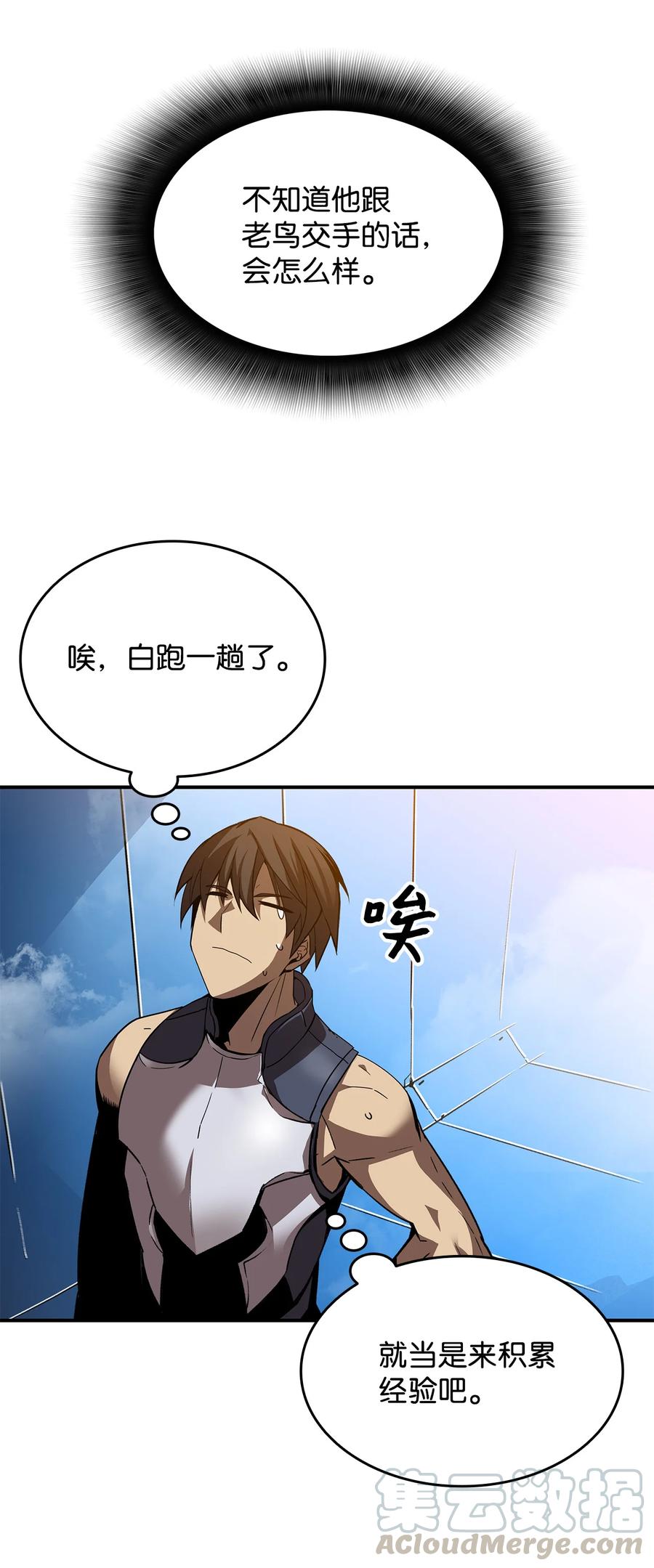 26 真假老鸟36