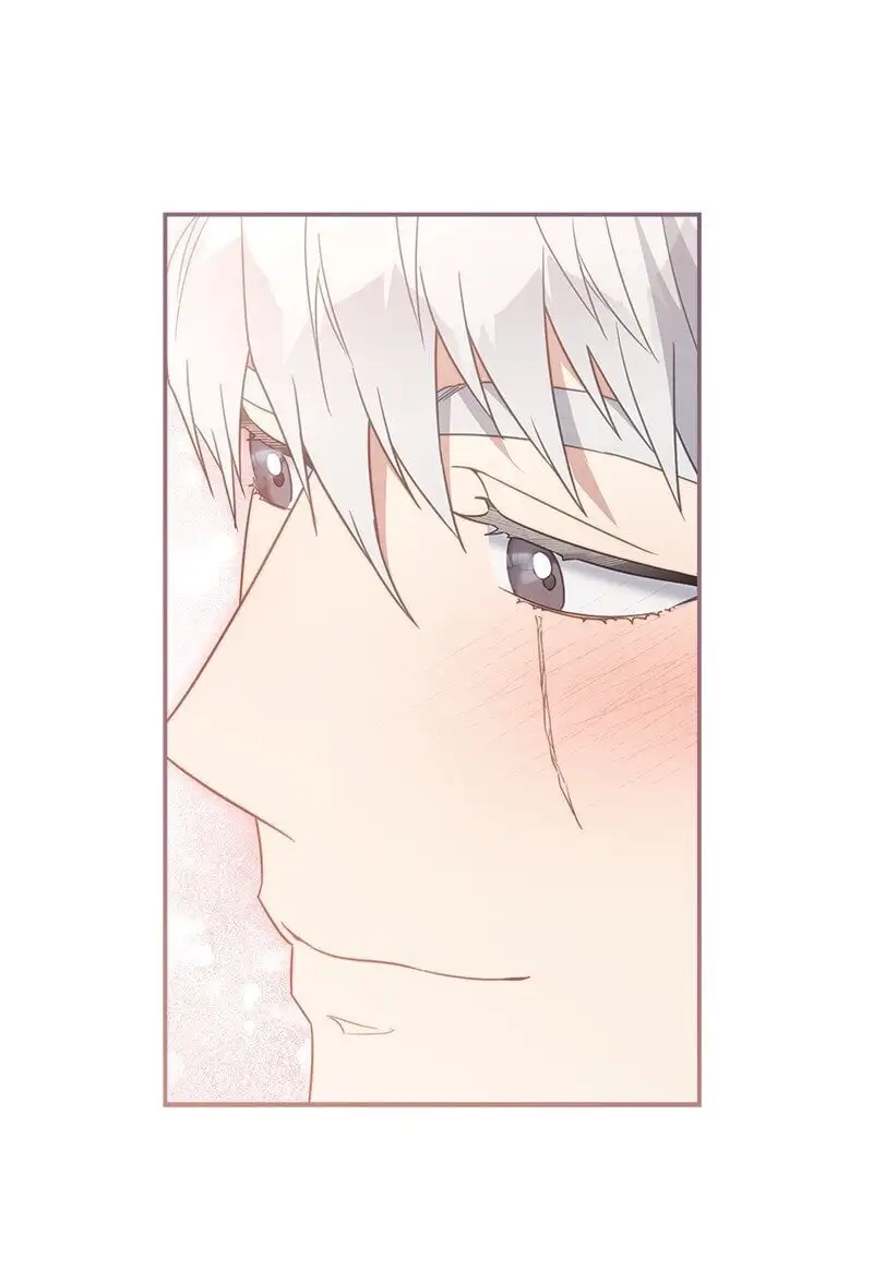 91 进爵37