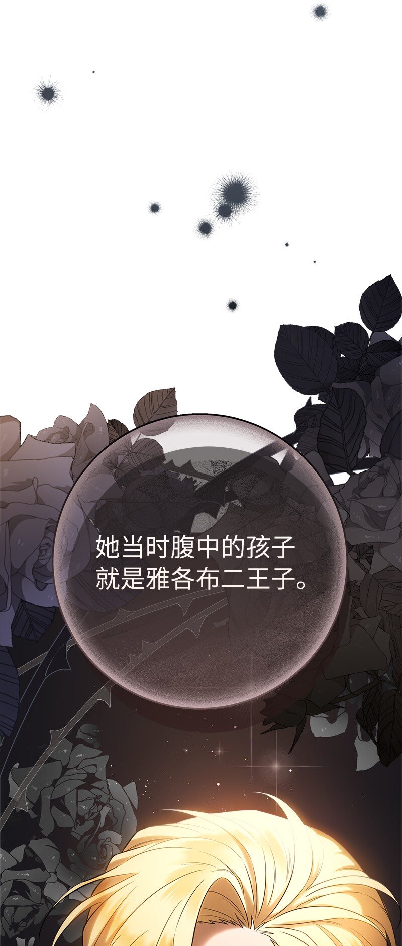 26 二王子的身世88