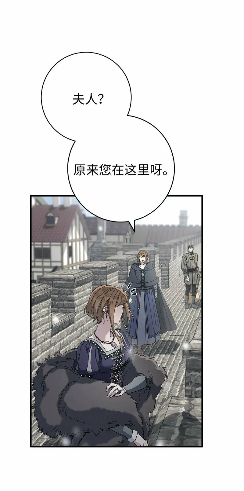 82 圣骑士团74