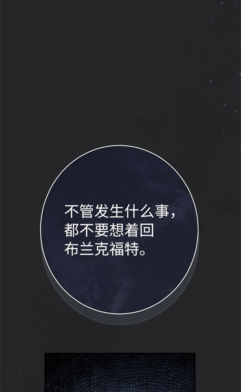 17 兑现承诺11