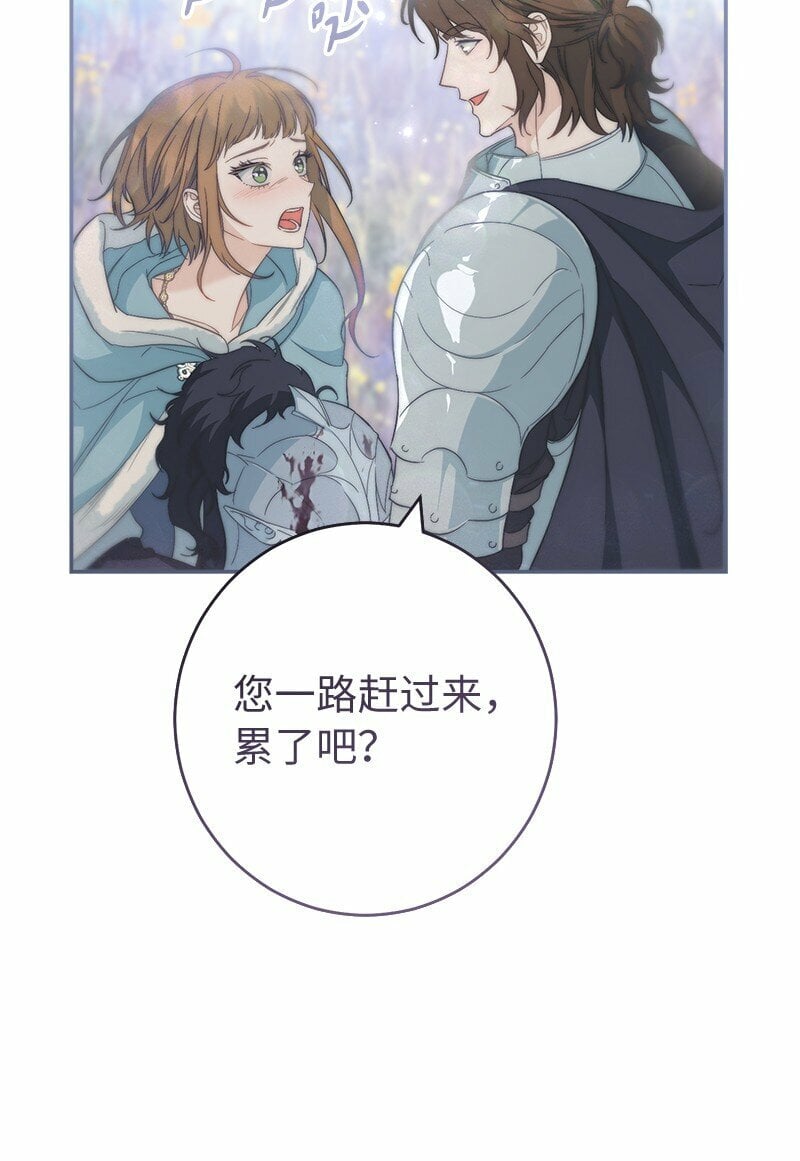 75 穷追不舍88